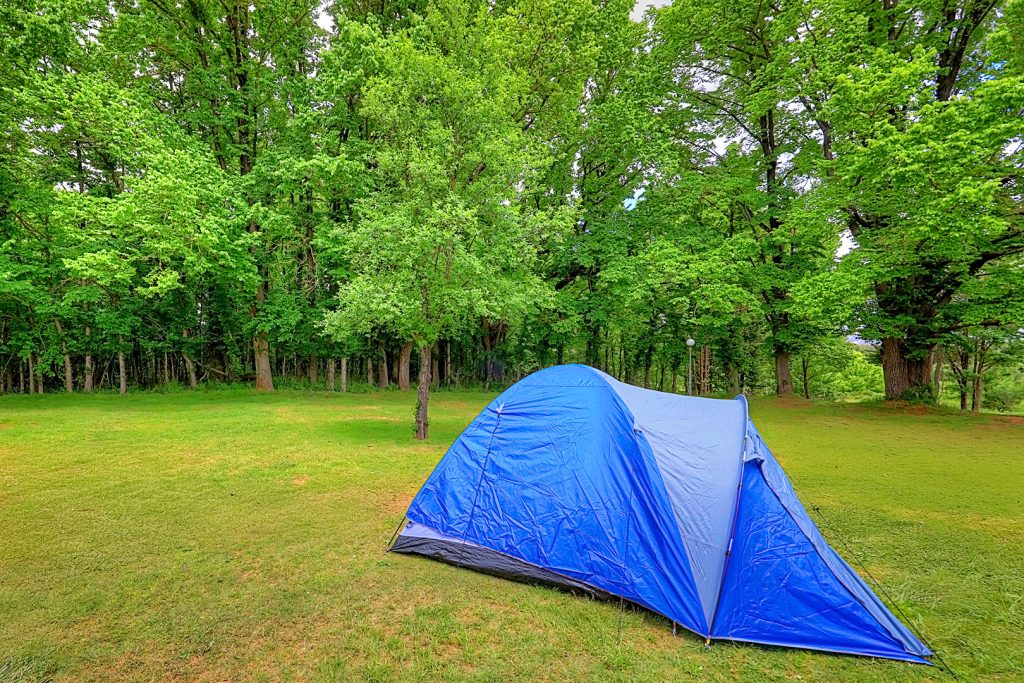 01-bright-valley-holiday-park-unpowered-site Bright Porepunkah Holiday Park, Unpowered caravan and camping site at Bright Valley Holiday Park in Porepunkah, Grassy Area, Plenty of Shade