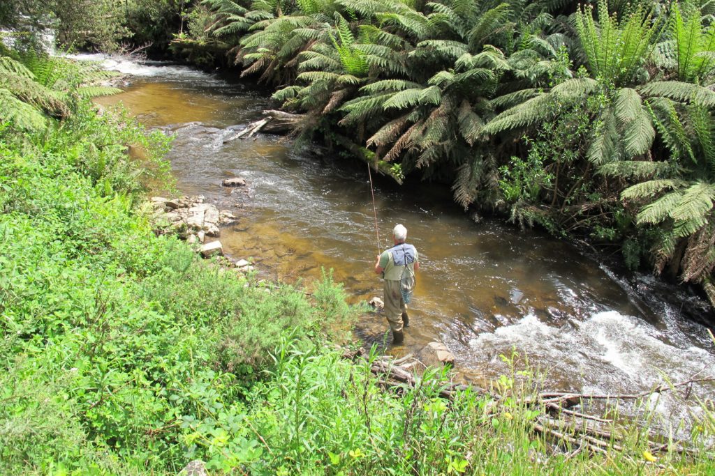 04-bright-valley-holiday-park-fishing Bright Porepunkah Holiday Park, Porepunkah, BIG 4, Ovens River, Fishing, Fly Fishing, Trout