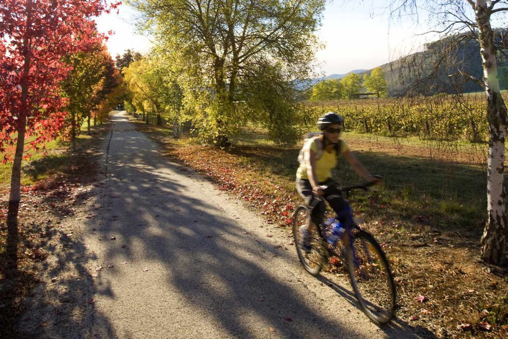 BVHP-Rail-Trail-Bike-Ride-04 Bright Porepunkah Holiday Park, BIG4, Cycling, Bike Rides, High Country Rail Trail