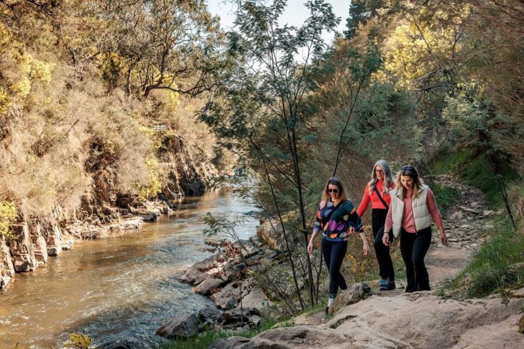 BVHP-Walks and Trails Guide-Canyon-Walk-02 Bright Porepunkah Holiday Park, BIG4, Hiking, Walks and Trails, Canyon Walk
