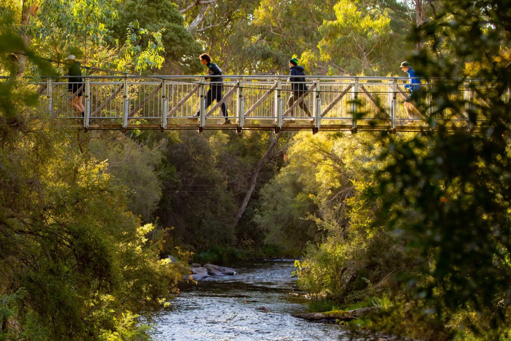 BVHP-Walks and Trails Guide-Canyon-Walk-03 Bright Porepunkah Holiday Park, BIG4, Hiking, Walks and Trails, Canyon Walk