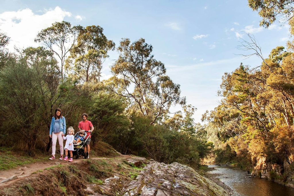 BVHP-Walks and Trails Guide-Canyon-Walk-04 Bright Porepunkah Holiday Park, BIG4, Hiking, Walks and Trails, Canyon Walk