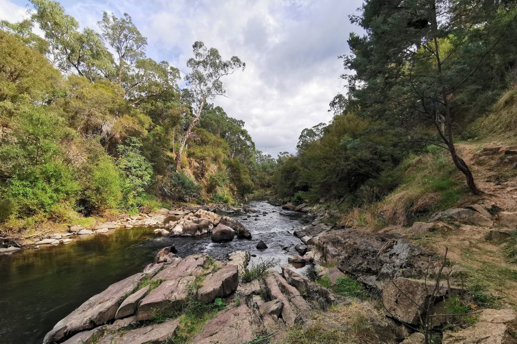BVHP-Walks and Trails Guide-Canyon-Walk-05 Bright Porepunkah Holiday Park, BIG4, Hiking, Walks and Trails, Canyon Walk