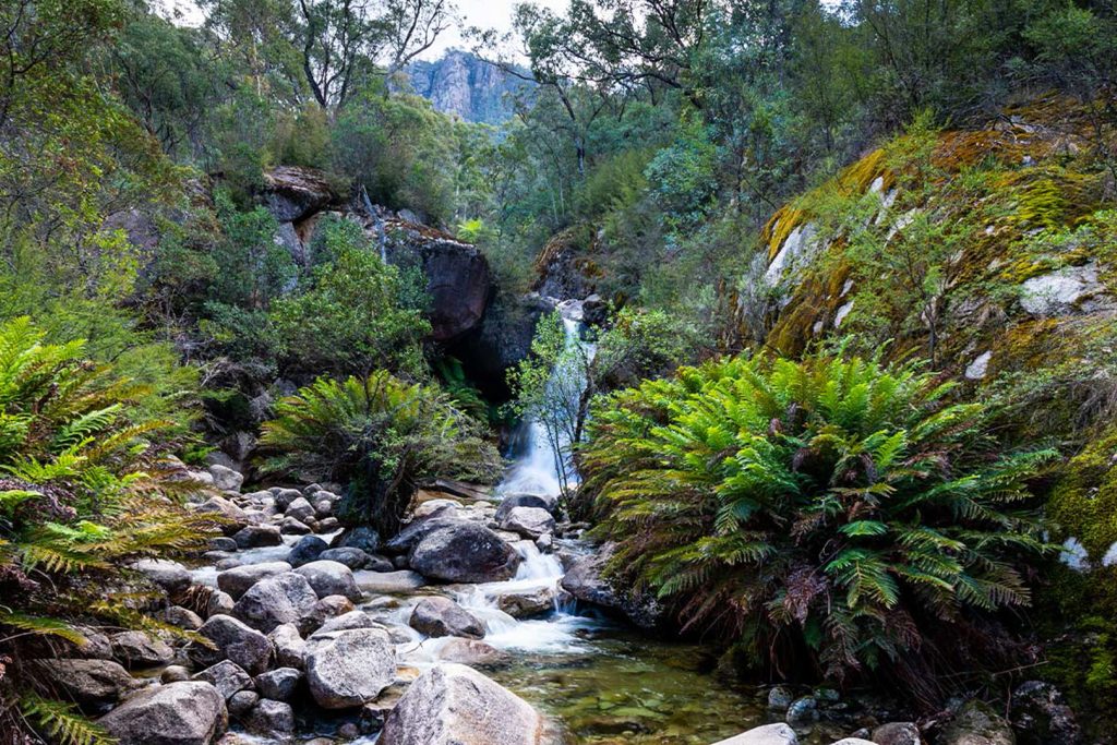 BVHP-Walks and Trails Guide-Eurobi-Ladies-Bath-Waterfalls-03 Bright Porepunkah Holiday Park, BIG4, Hiking, Walks and Trails, Eurobond Creek, Ladies Bath Falls, Mount Buffalo