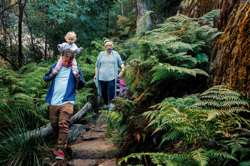 BVHP-Walks and Trails Guide-Eurobi-Ladies-Bath-Waterfalls-04 Bright Porepunkah Holiday Park, BIG4, Hiking, Walks and Trails, Eurobond Creek, Ladies Bath Falls, Mount Buffalo