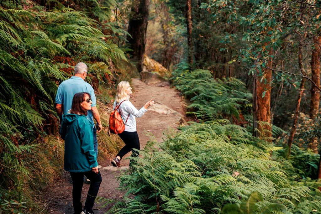 BVHP-Walks and Trails Guide-Eurobi-Ladies-Bath-Waterfalls-05 Bright Porepunkah Holiday Park, BIG4, Hiking, Walks and Trails, Eurobond Creek, Ladies Bath Falls, Mount Buffalo