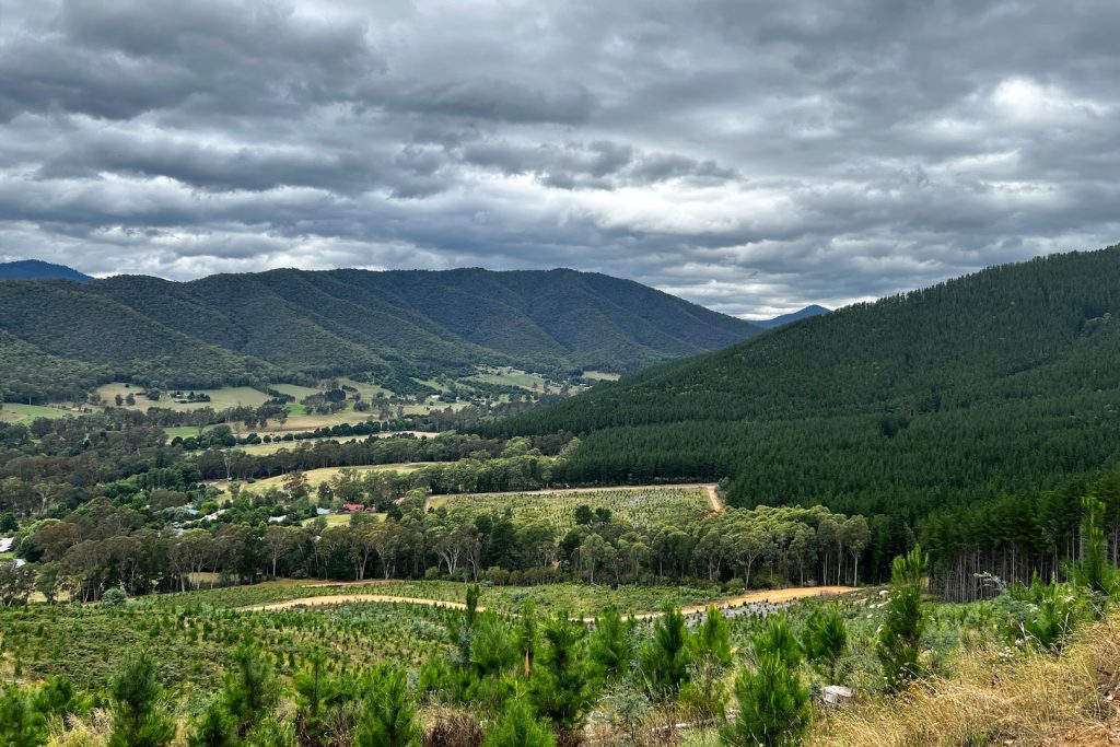 BVHP-Walks and Trails Guide-Huggins-Lookout-04 Bright Porepunkah Holiday Park, BIG4, Hiking, Walks and Trails, Huggins Lookout