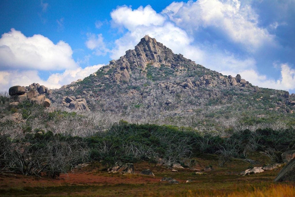 BVHP-Walks and Trails Guide-The-Horn-Mount-Buffalo-03 Bright Porepunkah Holiday Park, BIG4, Hiking, Walks and Trails, The Horn, Mount Buffalo